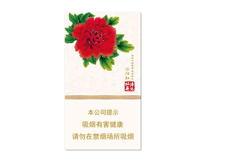 嘉兴哪里有批发香烟呢